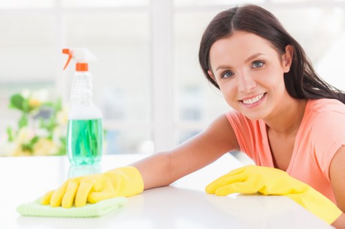 Professional upholstery cleaning in Westminster on a fabric sofa