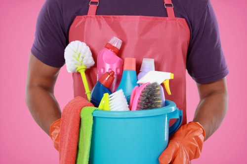 Transparent pricing for carpet cleaning in a period Westminster home