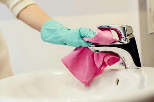 Cleaner in Westminster providing professional domestic cleaning