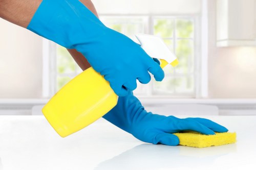 Deep cleaning upholstery stains in a Westminster living room