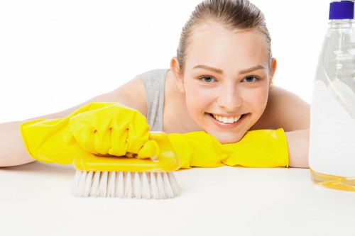 WCAG 2.1 AA compliant Westminster Carpet Cleaners website concept