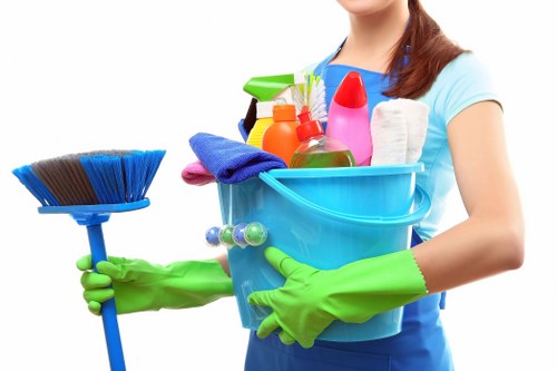 Professional cleaner in Westminster working in a modern home