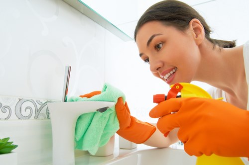 Screen-reader compatible Westminster Carpet Cleaners webpage concept