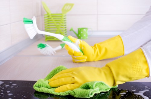 Thorough deep cleaning in Westminster for a fresh and hygienic property