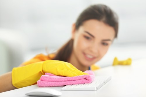 Routine sofa maintenance and stain removal in Westminster