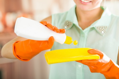 Cleaning specialist discussing service details and booking terms