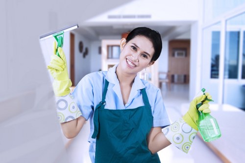 Website analytics and performance monitoring illustration for carpet cleaners